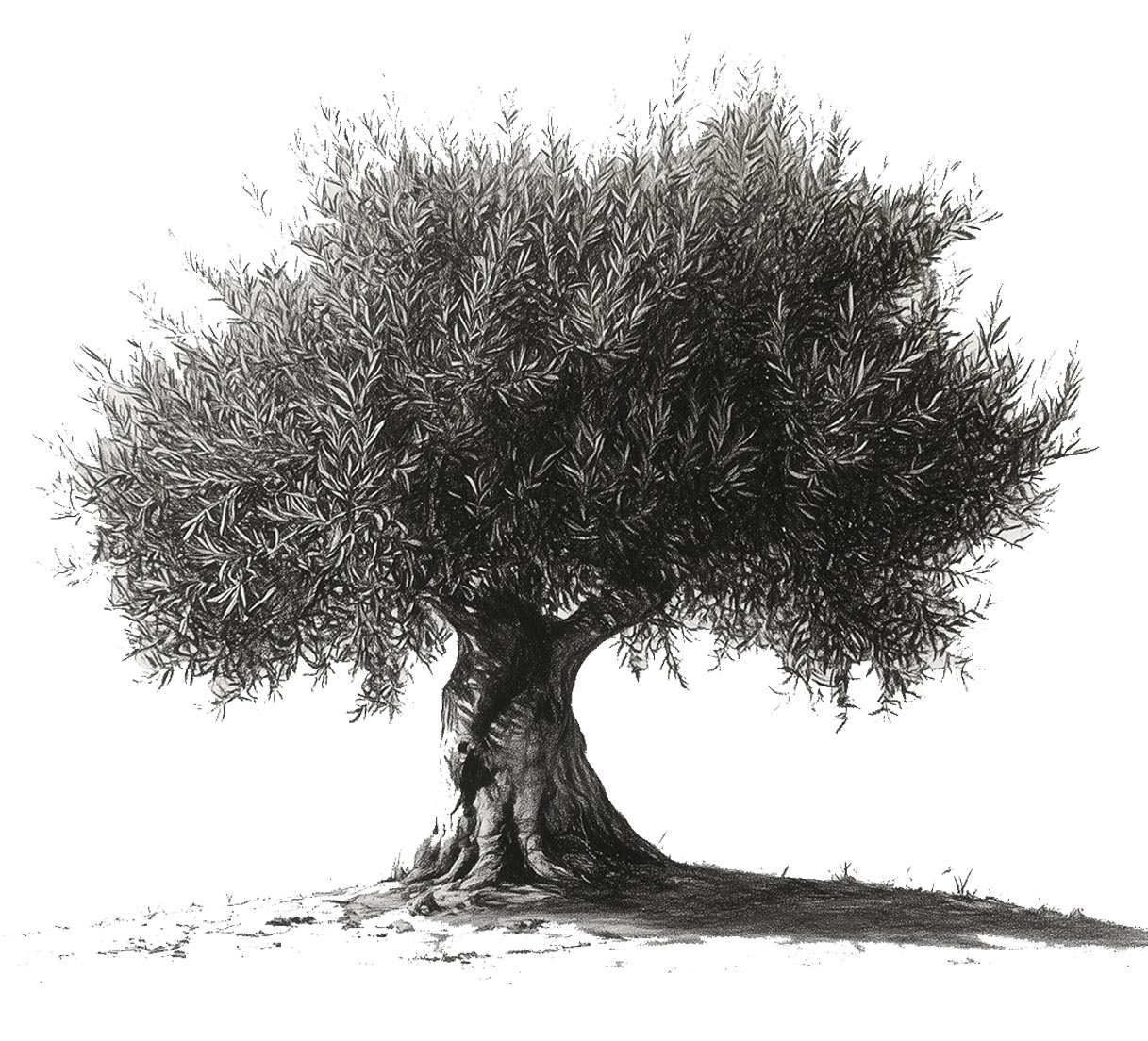 Vypredaj november biele pozadie